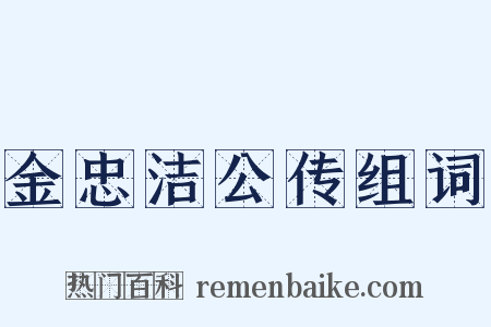 金忠洁公传组词是什么意思的图片